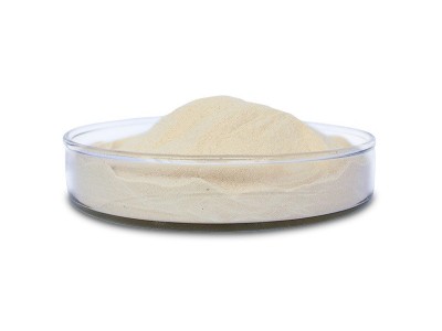 过氧化氢酶 Catalas