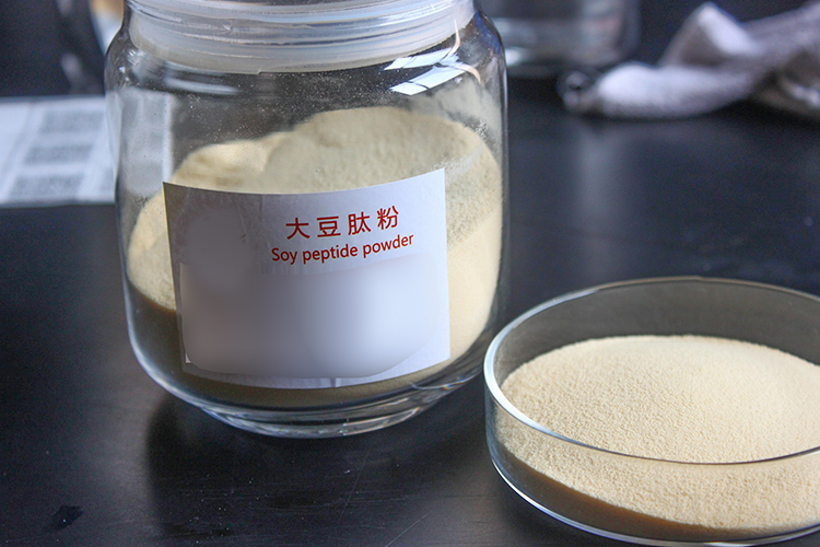 大豆蛋白肽 大豆蛋白肽
