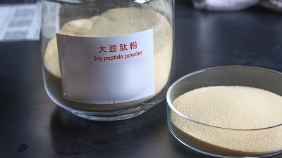 碱性蛋白酶在大豆肽规模化生产中的应用