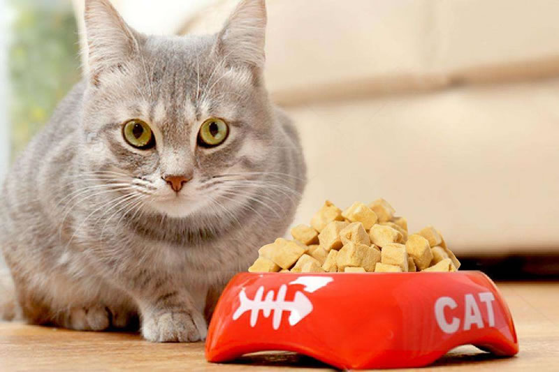 猫粮宠物诱食剂