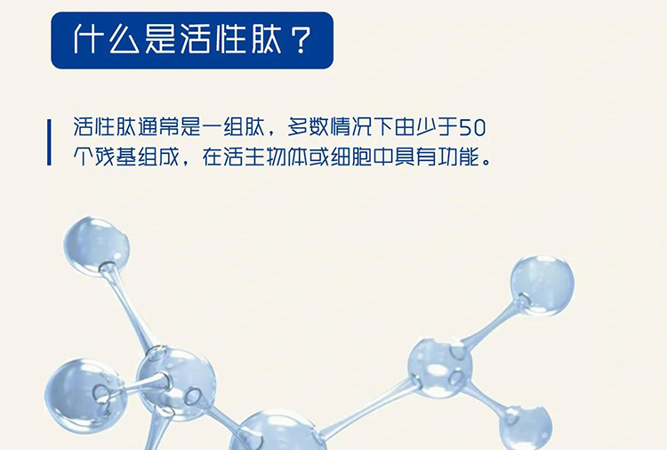 生物活性肽