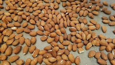 酶制剂助力坚果去涩味