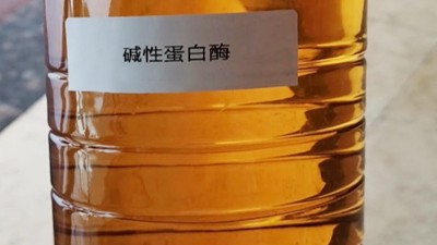 酶制剂助力含酶洗衣液品质升级