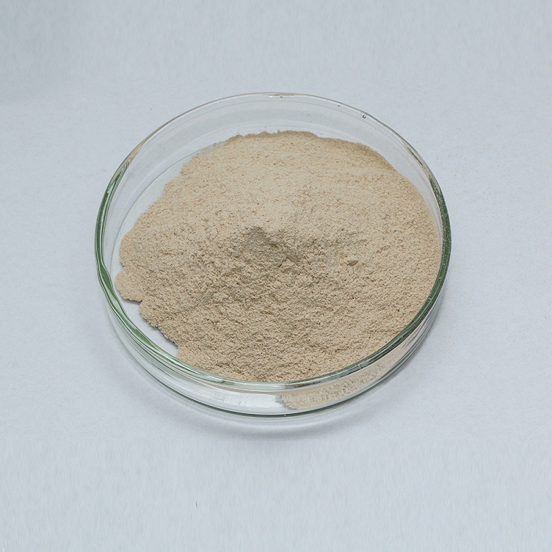 neutral protease6