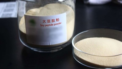 生产大豆低聚肽与多肽会用到哪些酶制剂？