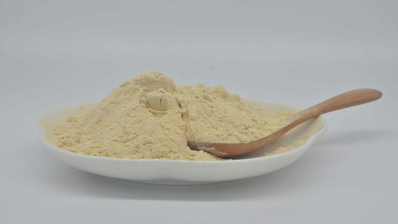 酶解豌豆蛋白粉生产植物蛋白饮料