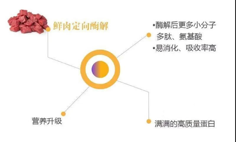图片 6_r1_c1