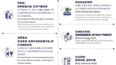 天然生物抑菌剂——溶菌酶，解决多行业防腐难题