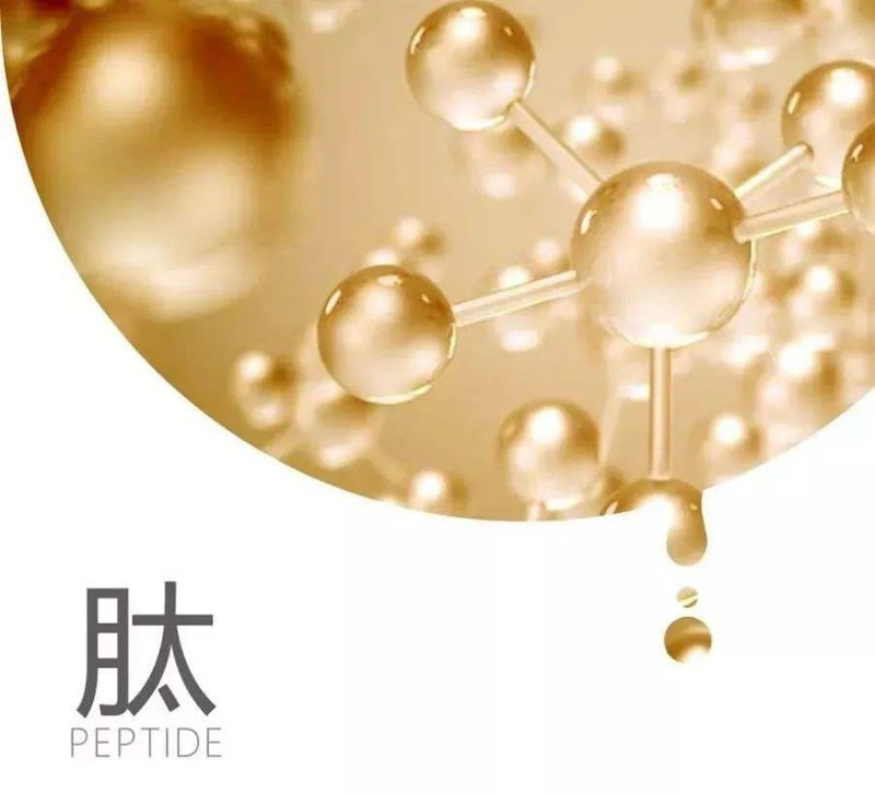 图片 1_r1_c1