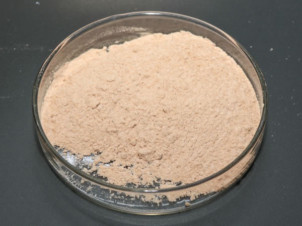 大米蛋白水解酶（大米多肽提取酶，大米蛋白酶）