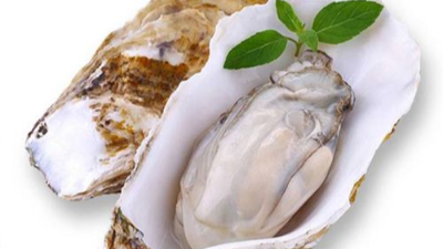 碱性蛋白酶在牡蛎酶解多肽的应用