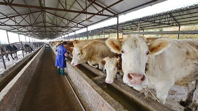 一文搞懂，饲料用蛋白酶有几种？