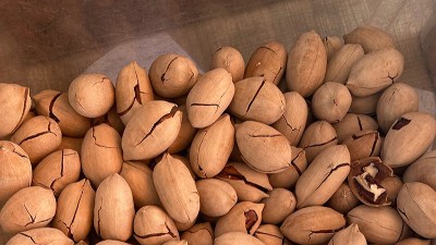 深度拆解：酶制剂如何改善坚果口感？